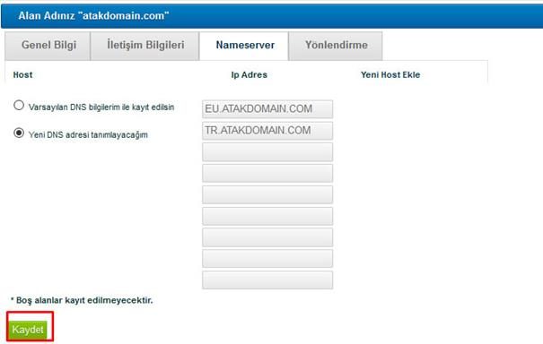 Domain Name API DNS Oluşturma Ekranı