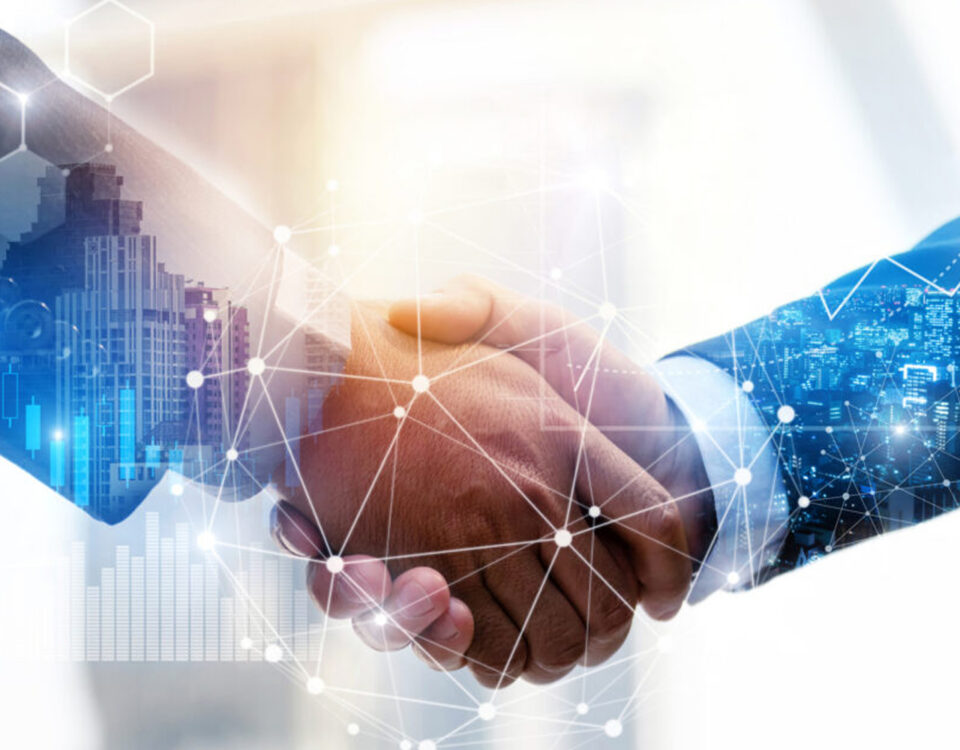 Domain Reseller Nedir? Nasıl Domain Reseller Olunur?