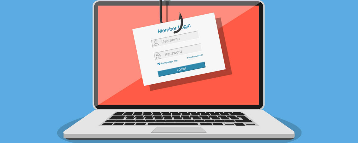Gizli whois bilgileri nasıl görüntülenir?