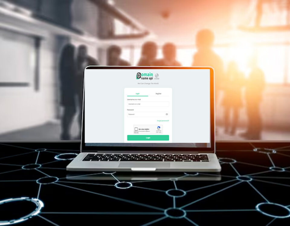 Domain Reseller Application and Panel Setup Guide