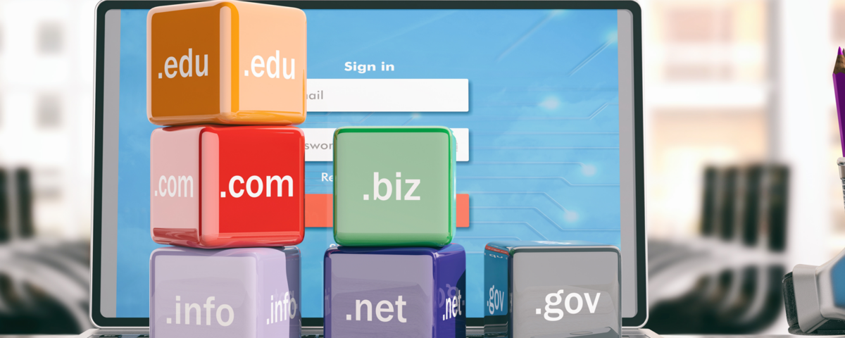 Kaç Tane Alan Adı Var?