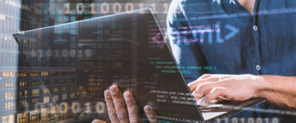 .XXX Domain Kaydı ve DNS Aktivasyonu