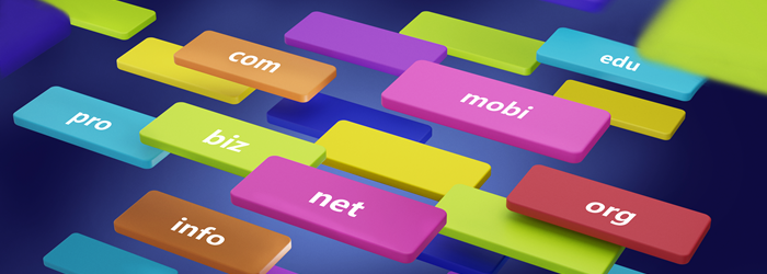 Domain-Arten und Optionen