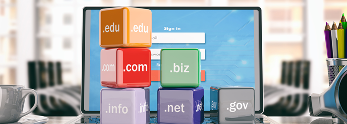 Was bedeutet Domain?