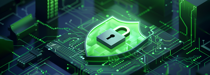 What is SSL Security and Protection?