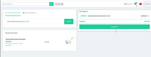 Domain Tescili Nasıl Yapılır ?