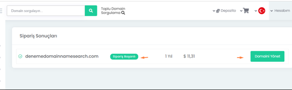 Domain Tescili Nasıl Yapılır ?