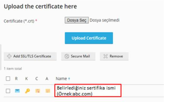 Plesk Panel'de SSL Sertifikası Nasıl Kurulur?