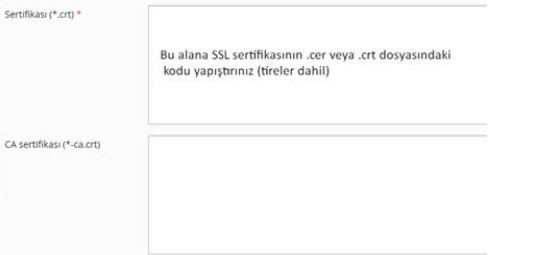 Plesk Panel'de SSL Sertifikası Nasıl Kurulur?