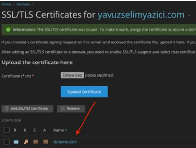 Plesk Panel'de SSL Sertifikası Nasıl Kurulur?