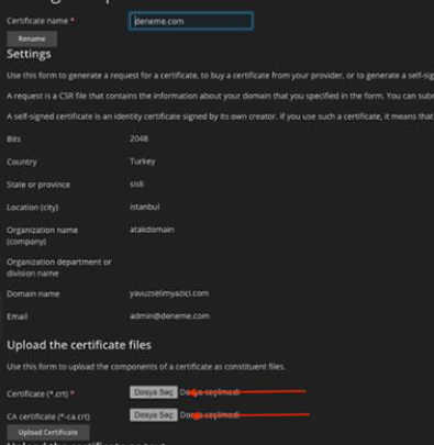 How to Install an SSL Certificate on Plesk Panel