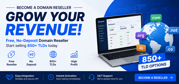 How to Start a Domain Reseller Business (Step By Step)