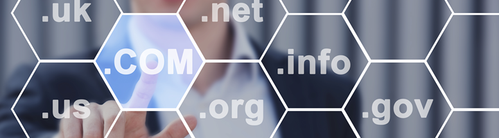 .COM Domain Nedir