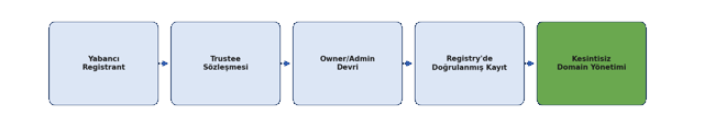 .RU Domain ESIA Zorunluluğu | Trustee ve Transfer Rehberi