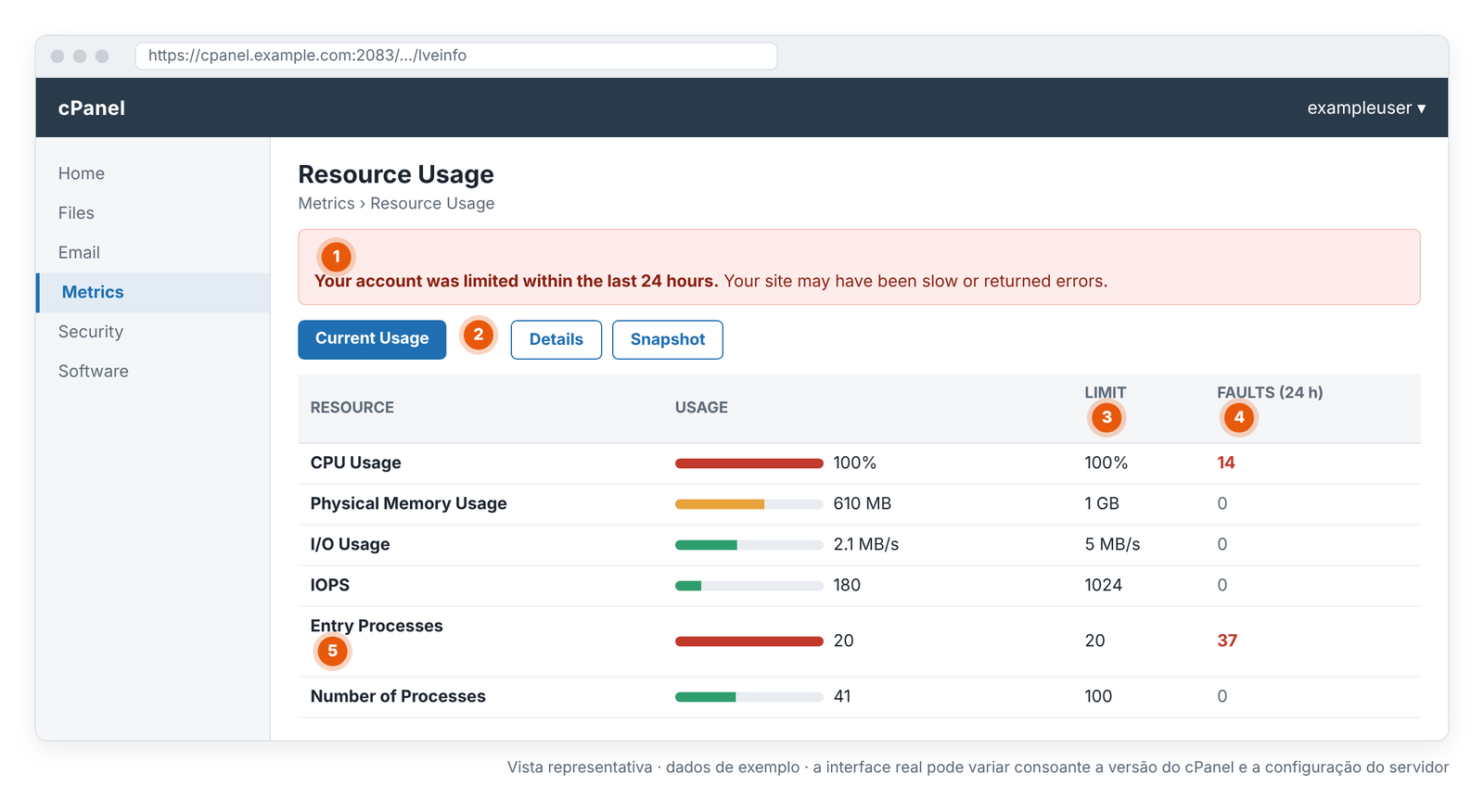 Ecrã 4 – cPanel › Metrics › Resource Usage: o ecrã que mostra que limite foi atingido (vista representativa).