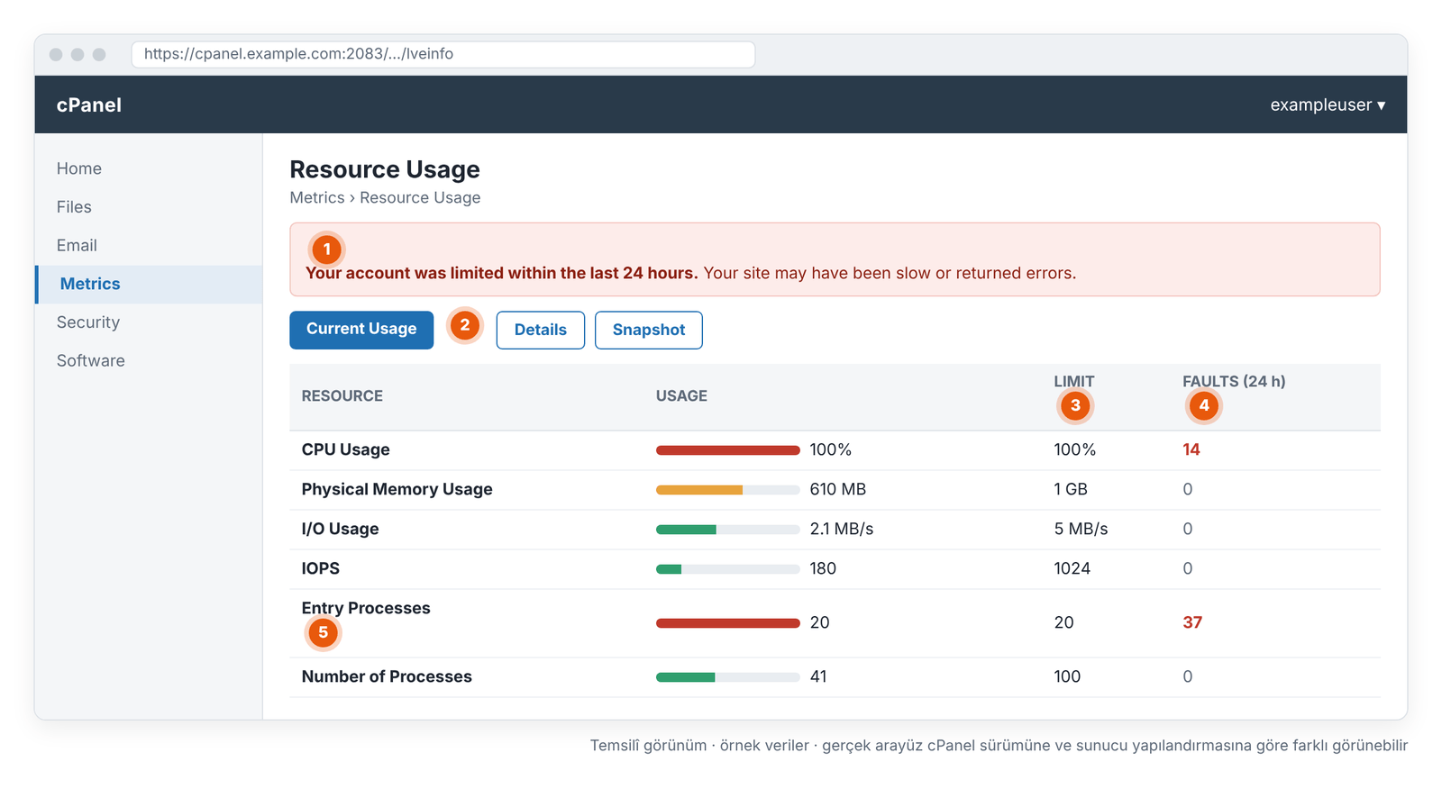 Ekran 4 – cPanel › Metrics › Resource Usage: hangi limite ulaşıldığını gösteren ekran (temsilî görünüm).