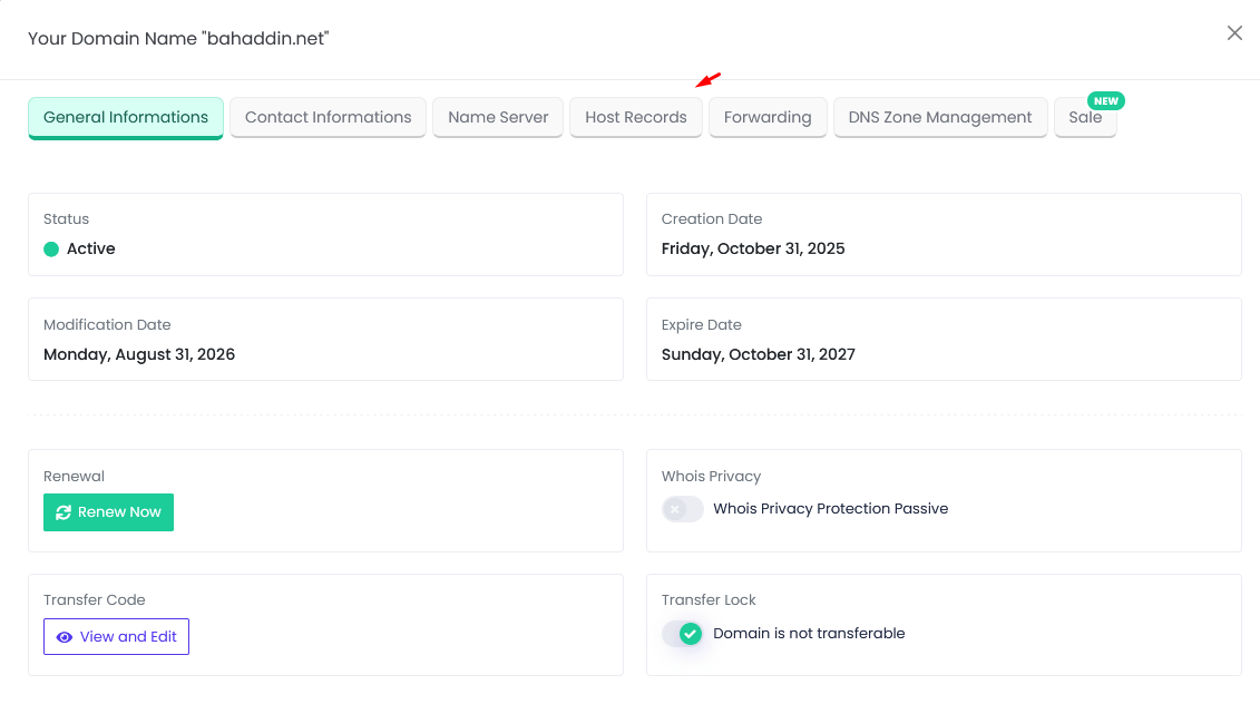 Gambar 2 – Jendela domain: pindah dari General Informations ke tab Host Records.
