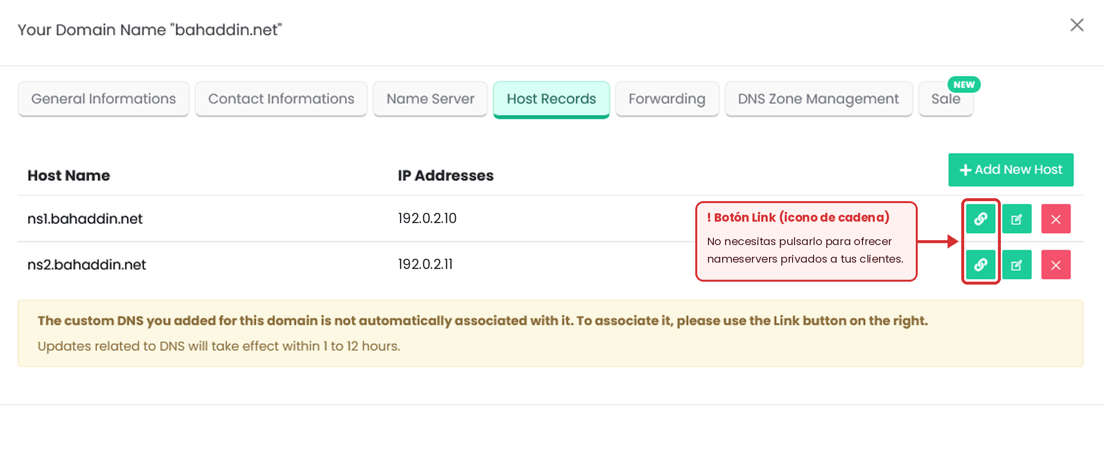 Figura 4 – ns1 y ns2 ya están creados. No necesitas el botón Link (cadena) para ofrecer nameservers privados a tus clientes. Las IP son de ejemplo.