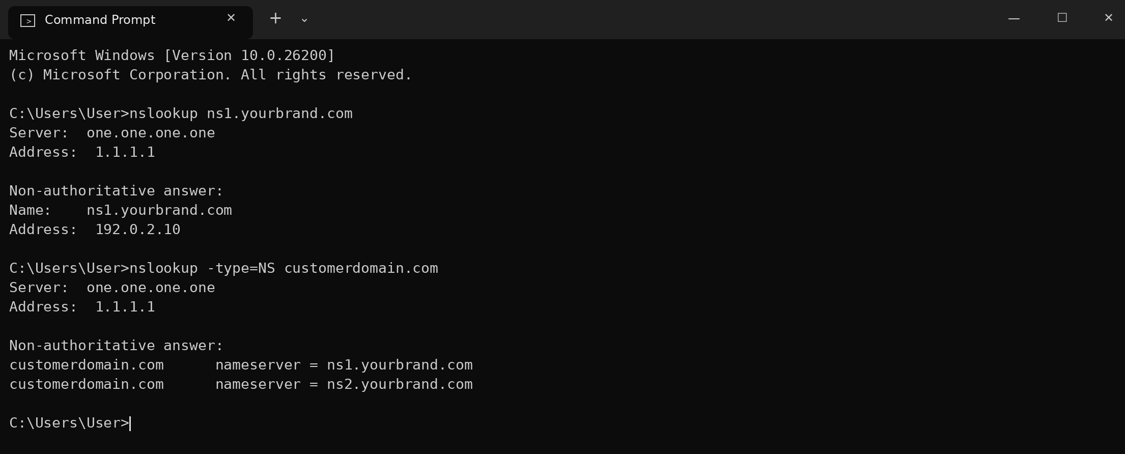 Figure 6 – Example output: ns1 resolves to the right IP, and the customer's domain lists ns1/ns2. Domains and IP addresses shown are examples.