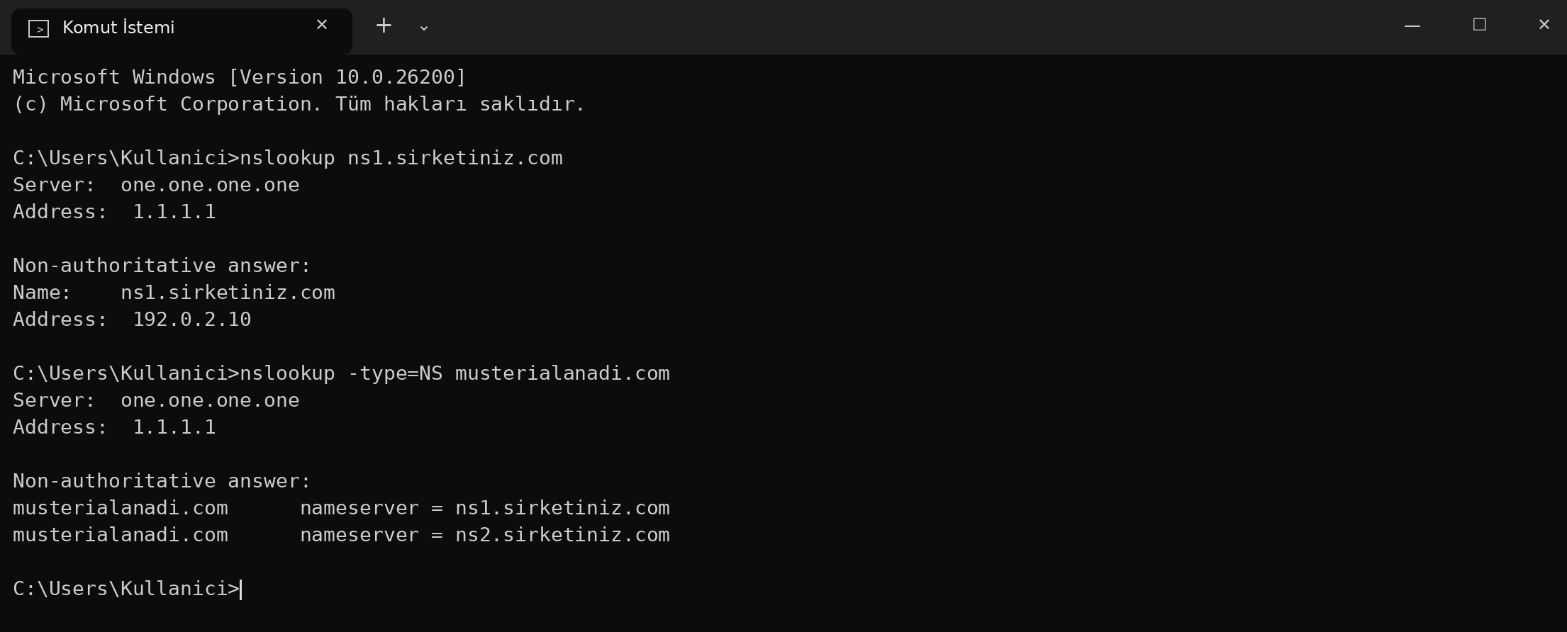 Görsel 6 – Örnek çıktı: ns1 adresi doğru IP'ye çözülüyor ve müşteri alan adı ns1/ns2 nameserver'larını gösteriyor. Alan adları ve IP adresleri temsilidir.