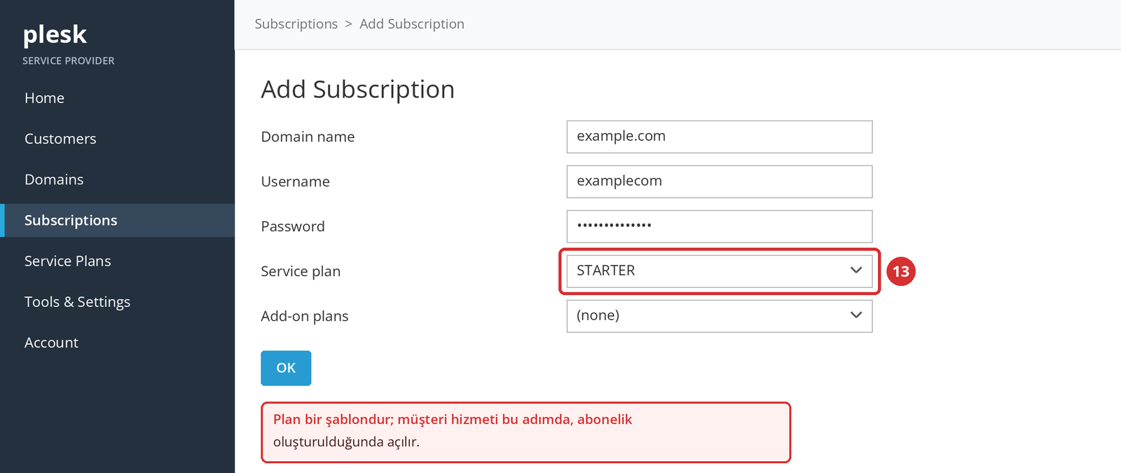 Görsel 7 – Add Subscription ekranında plan seçimi (13). Alan adı ve kullanıcı bilgileri örnektir; temsilî ekran.