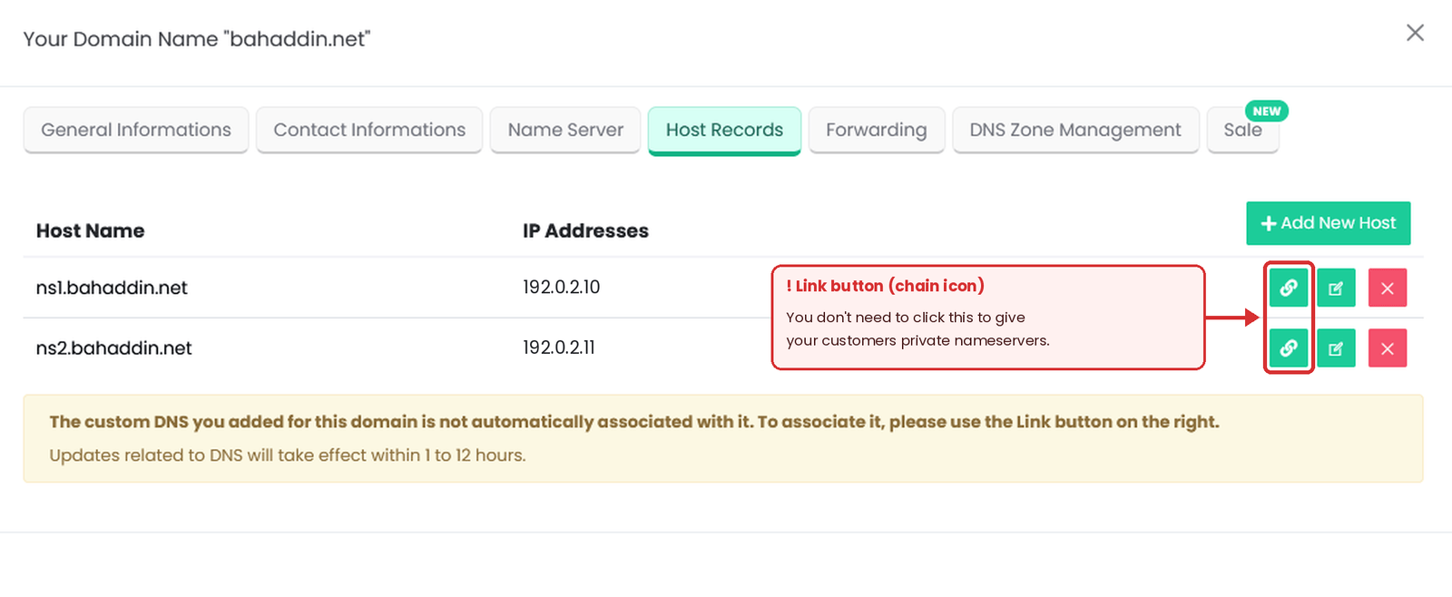 Figure 5 – ns1 and ns2 are in place. You don't need the Link (chain) button for this setup. IP addresses shown are examples.