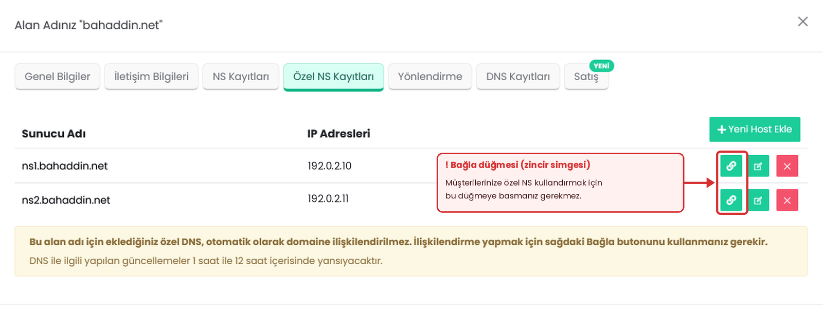 Görsel 5 – ns1 ve ns2 kayıtları oluşturuldu. Zincir simgeli Bağla düğmesine bu kurulum için basmanız gerekmez. IP adresleri temsilidir.