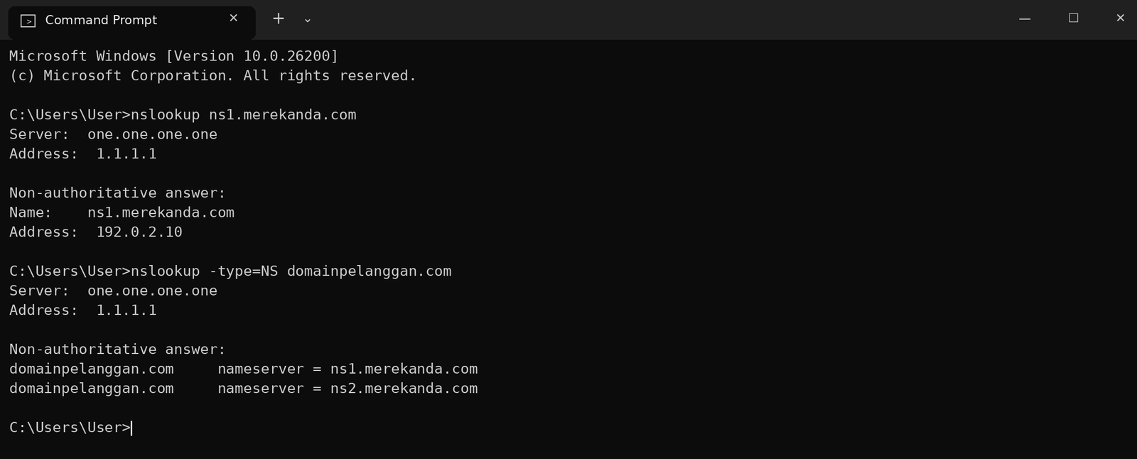Gambar 6 – Contoh hasil: ns1 mengarah ke IP yang benar dan domain menampilkan ns1/ns2. Domain dan IP yang ditampilkan adalah contoh.