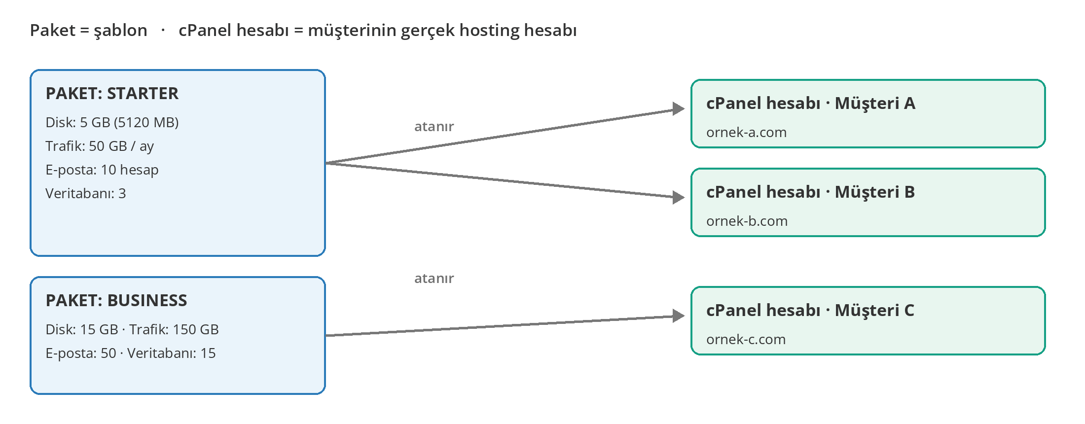 Görsel 1 – Bir paket birden fazla cPanel hesabına atanabilir. Her hesap, atandığı paketin limitleriyle çalışır.