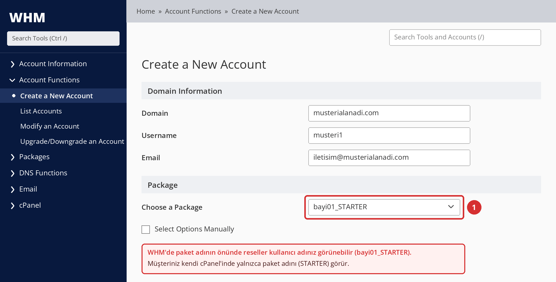 Görsel 6 – Create a New Account ekranında paket seçimi. Alan adı ve kullanıcı bilgileri örnektir; temsilî ekran.