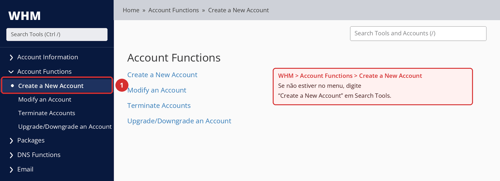 Figura 2 – WHM > Account Functions > Create a New Account. Tela ilustrativa; a interface pode variar conforme a versão do WHM e as permissões da sua conta.