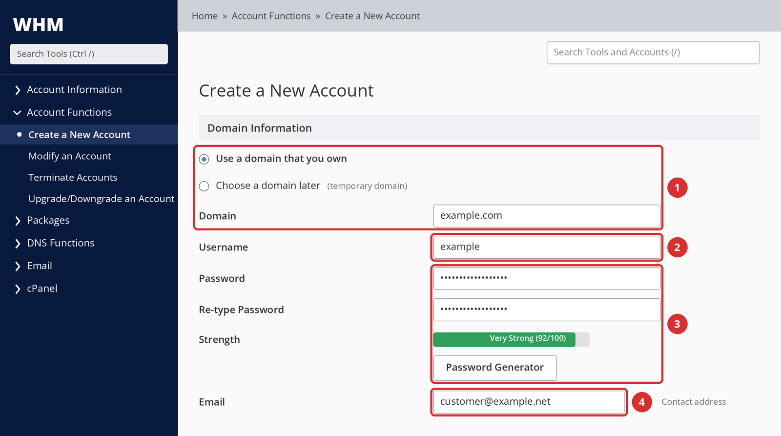 Figure 3 – Domain (1), username (2), password (3), and contact email (4). Values are examples; illustrative screen.