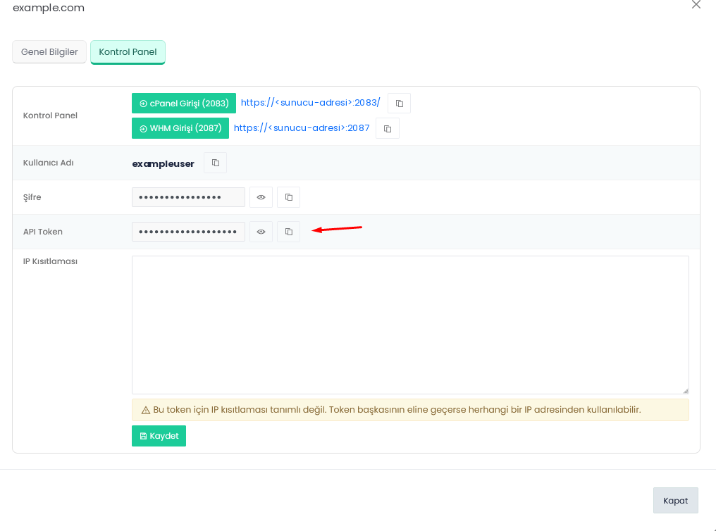 Figura 3 – La pestaña del panel de control (“Kontrol Panel” en la interfaz en turco): direcciones del panel, usuario y token API. La dirección del servidor y el usuario están ocultos.